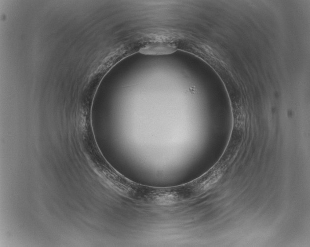 X0000069390456200605150947