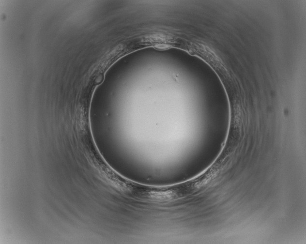 X0000069390457200605150947