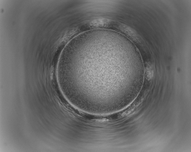 X0000069390458200605150947