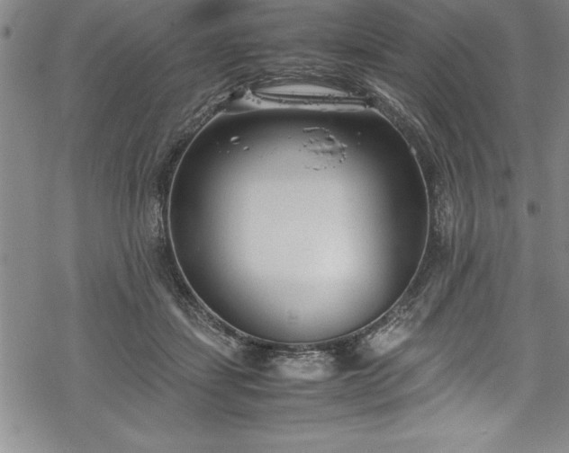 X0000069390459200605150947