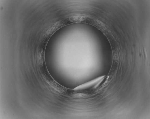 X0000069390460200605150947