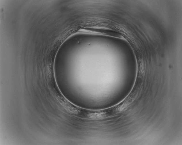 X0000069390461200605150947