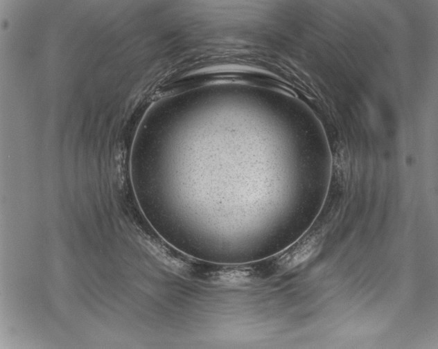 X0000069390462200605150947