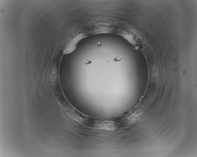 X0000069390463200605150947