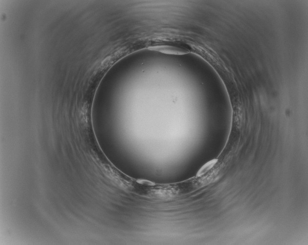 X0000069390466200605150947