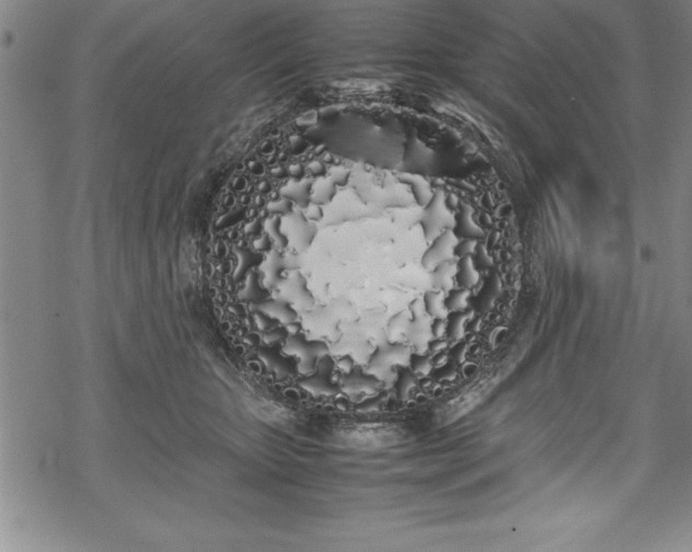 X0000069390467200605150947