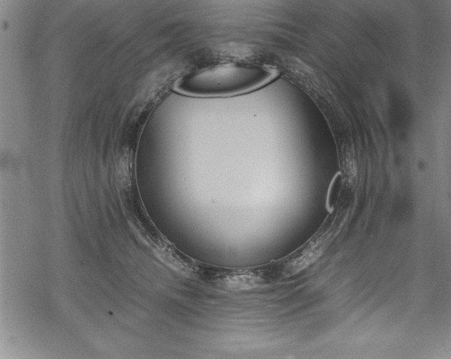 X0000069390468200605150947