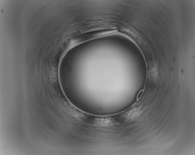 X0000069390469200605150948