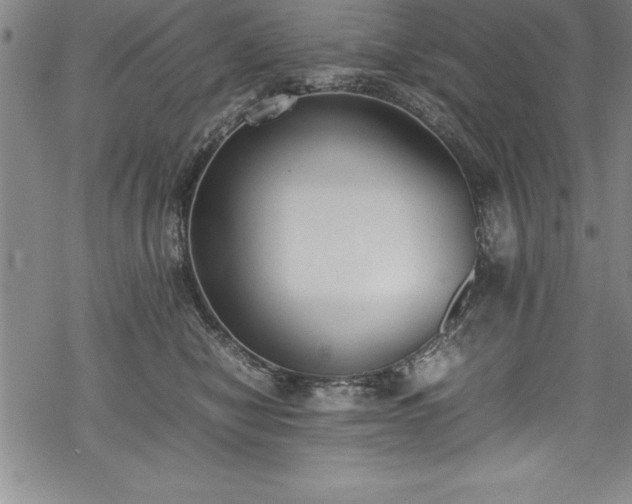 X0000069390470200605150948