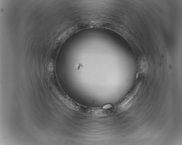 X0000069390472200605150948