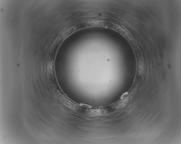 X0000069390473200605150948