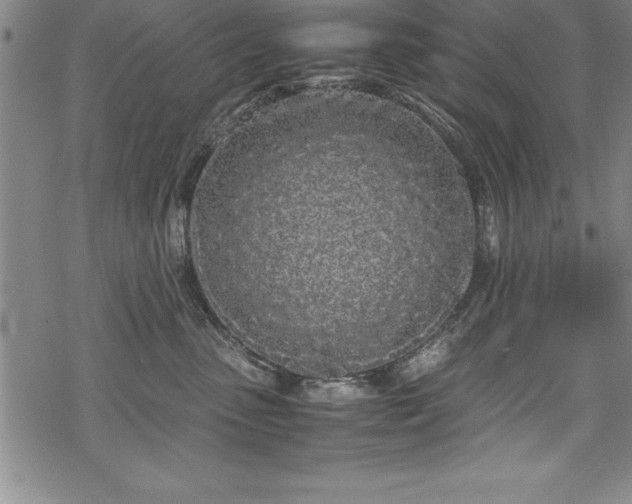 X0000069390475200605150948