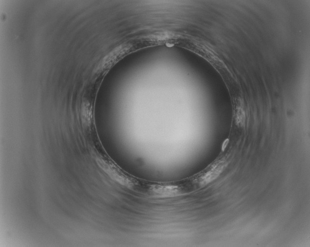 X0000069390476200605150948