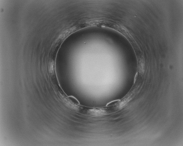 X0000069390477200605150948