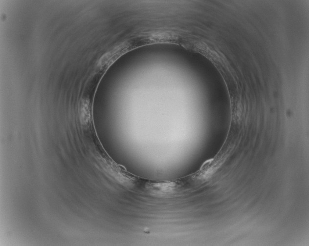 X0000069390478200605150948