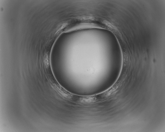 X0000069390479200605150948