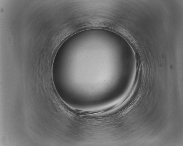 X0000069390481200605150947