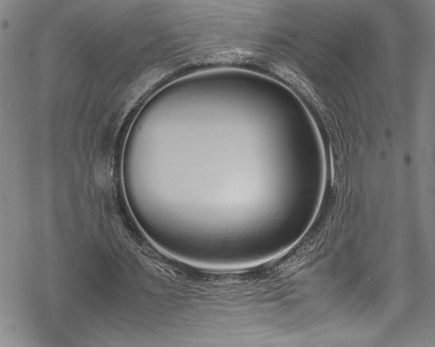 X0000069390483200605150947