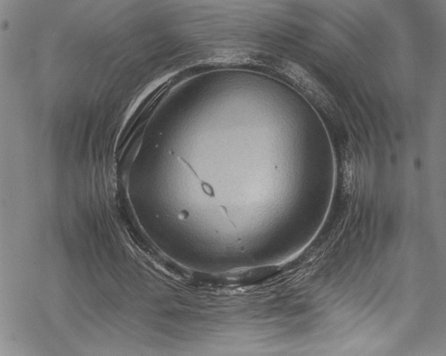 X0000069390484200605150947