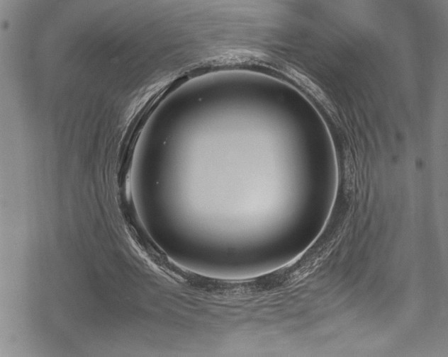 X0000069390485200605150947