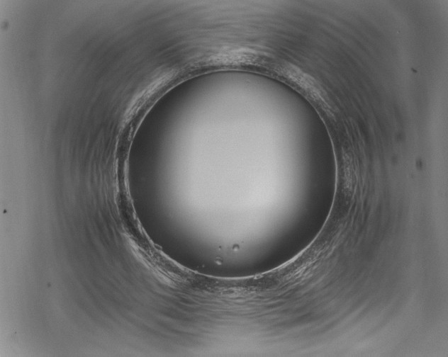 X0000069390486200605150947