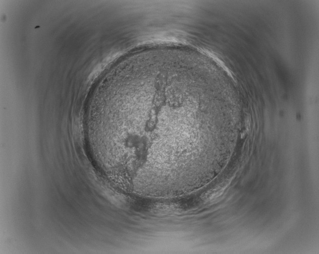 X0000069390487200605150947