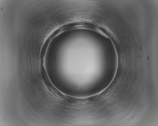 X0000069390488200605150947