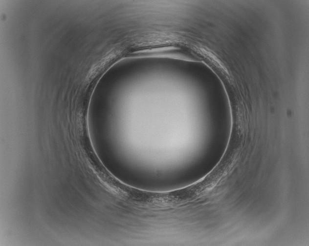 X0000069390489200605150947