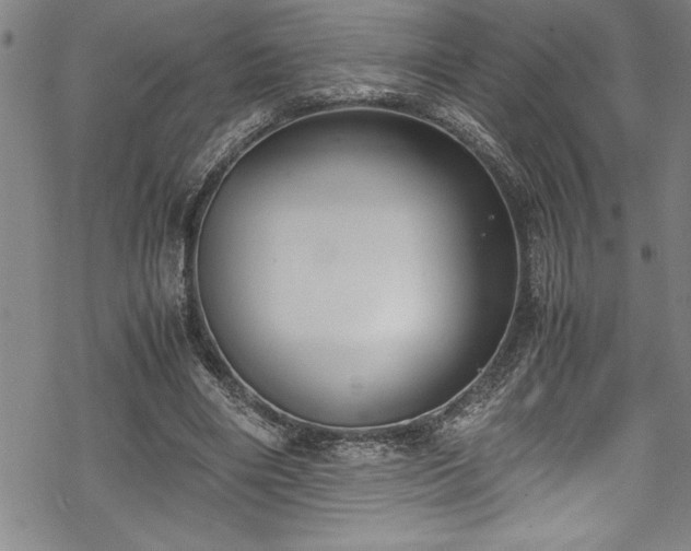 X0000069390490200605150947