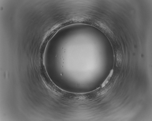 X0000069390492200605150947