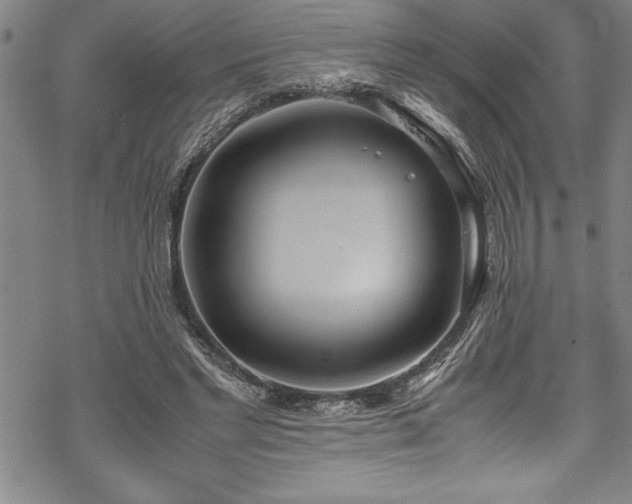 X0000069390493200605150947