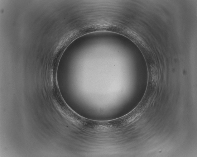 X0000069390494200605150947