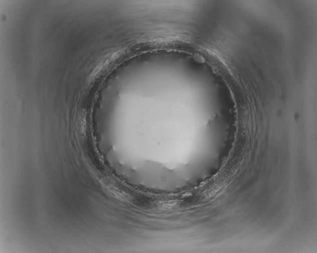 X0000069390495200605150947