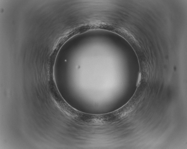 X0000069390496200605150947