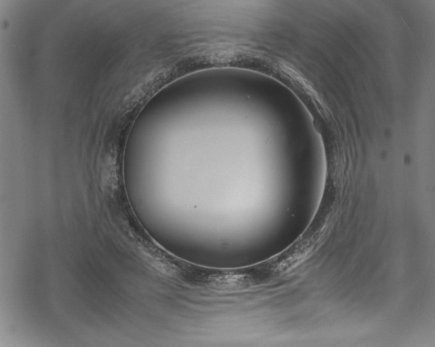 X0000069390497200605150947