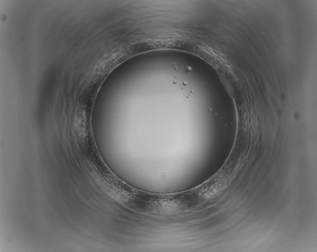 X0000069390498200605150947