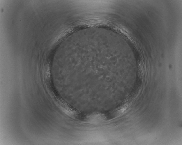 X0000069390499200605150947