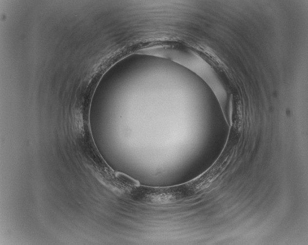 X0000069390500200605150947