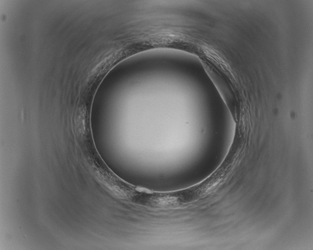 X0000069390501200605150947