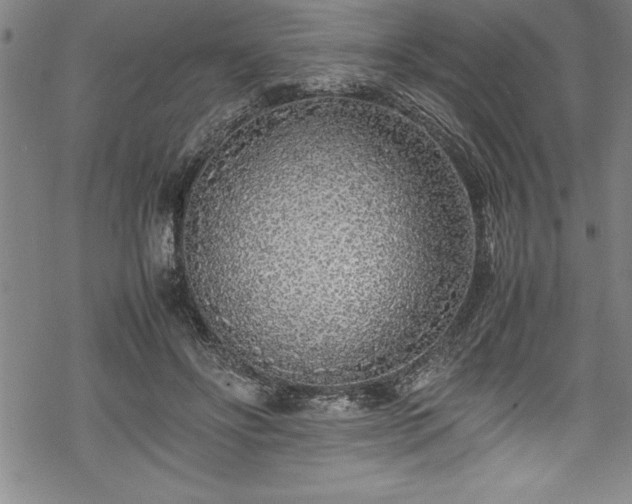 X0000069390502200605150947