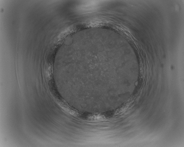 X0000069390503200605150947