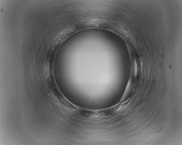 X0000069390504200605150947