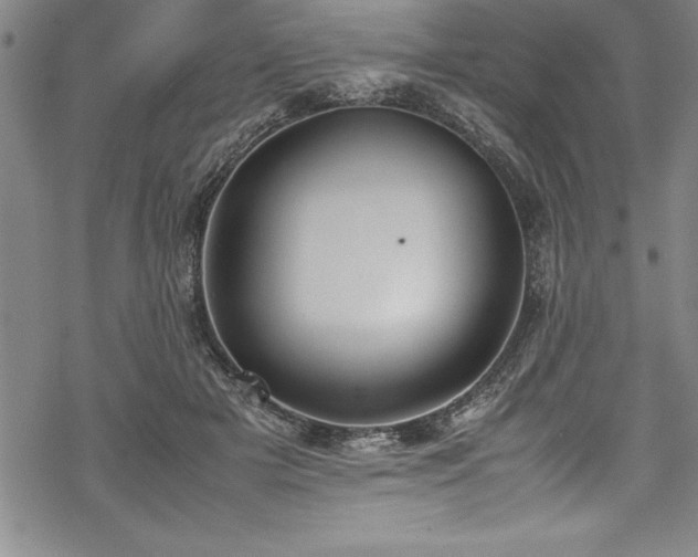 X0000069390505200605150947