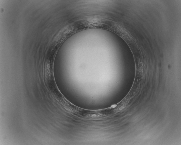 X0000069390506200605150946