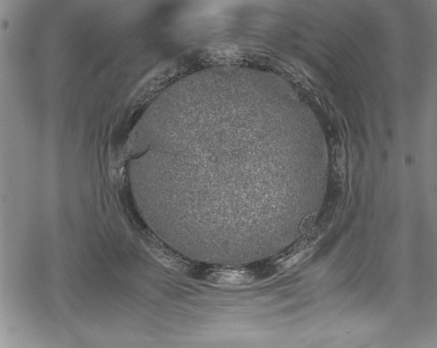 X0000069390507200605150946