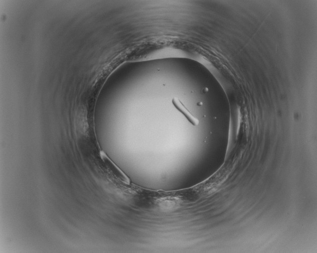 X0000069390508200605150946