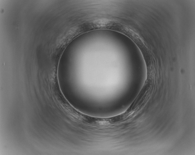 X0000069390509200605150946