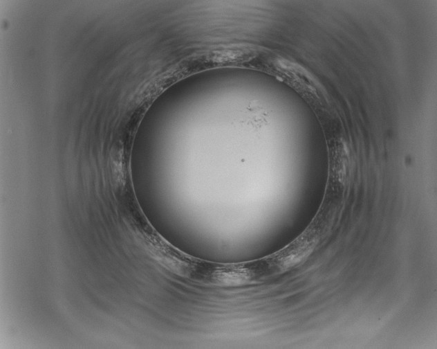 X0000069390510200605150946