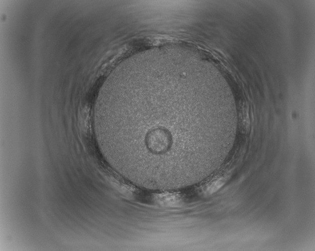 X0000069390511200605150946