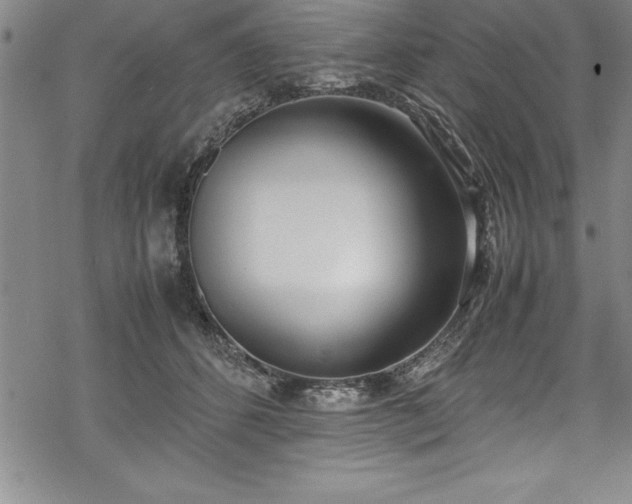 X0000069390512200605150946